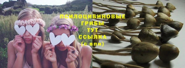 мет Абаза